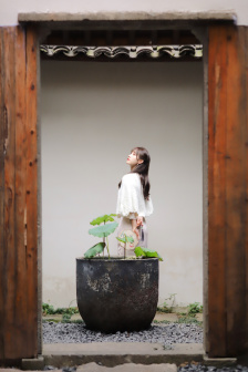 猛鬼霸王花电影